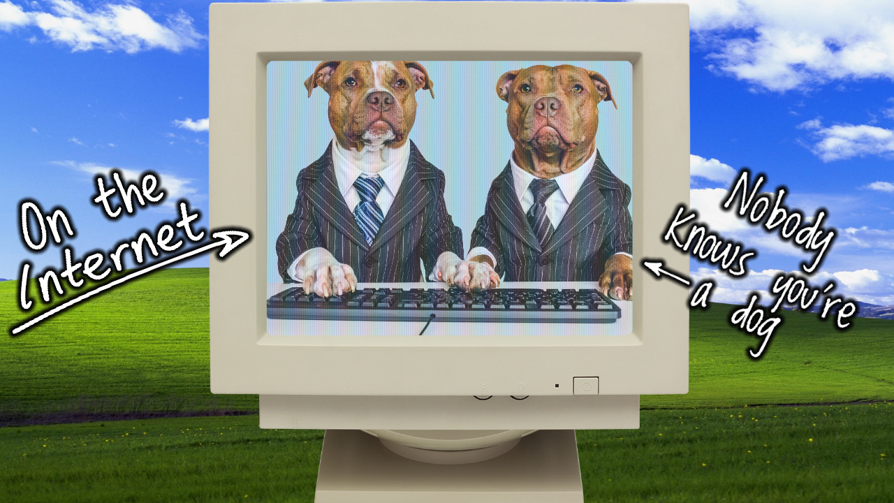 Two dogs using a computer