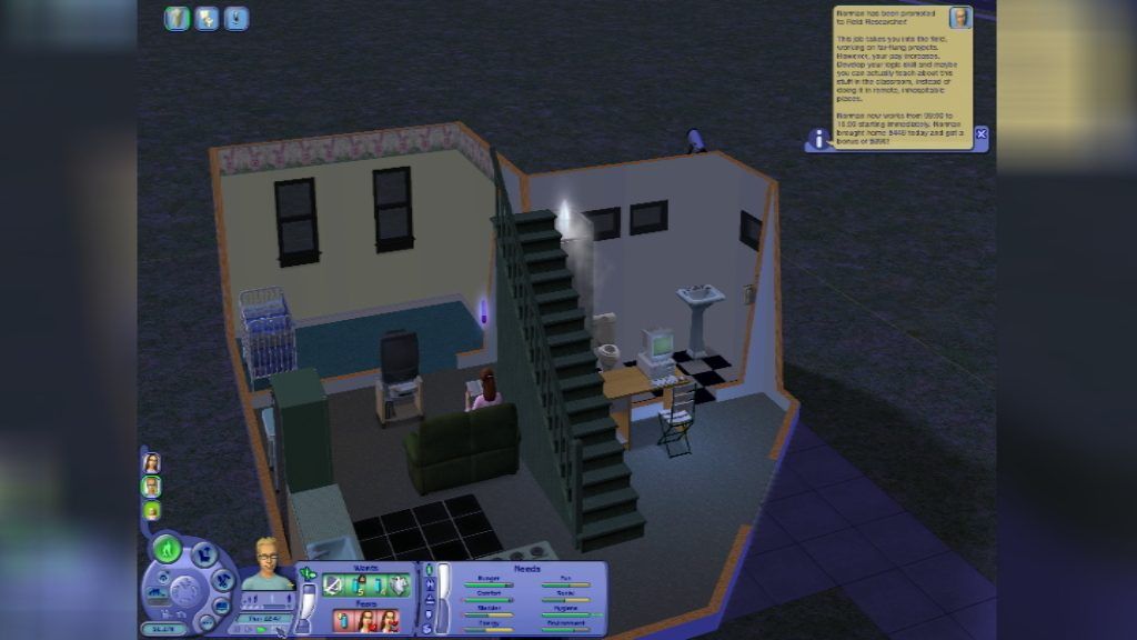 Sims 2