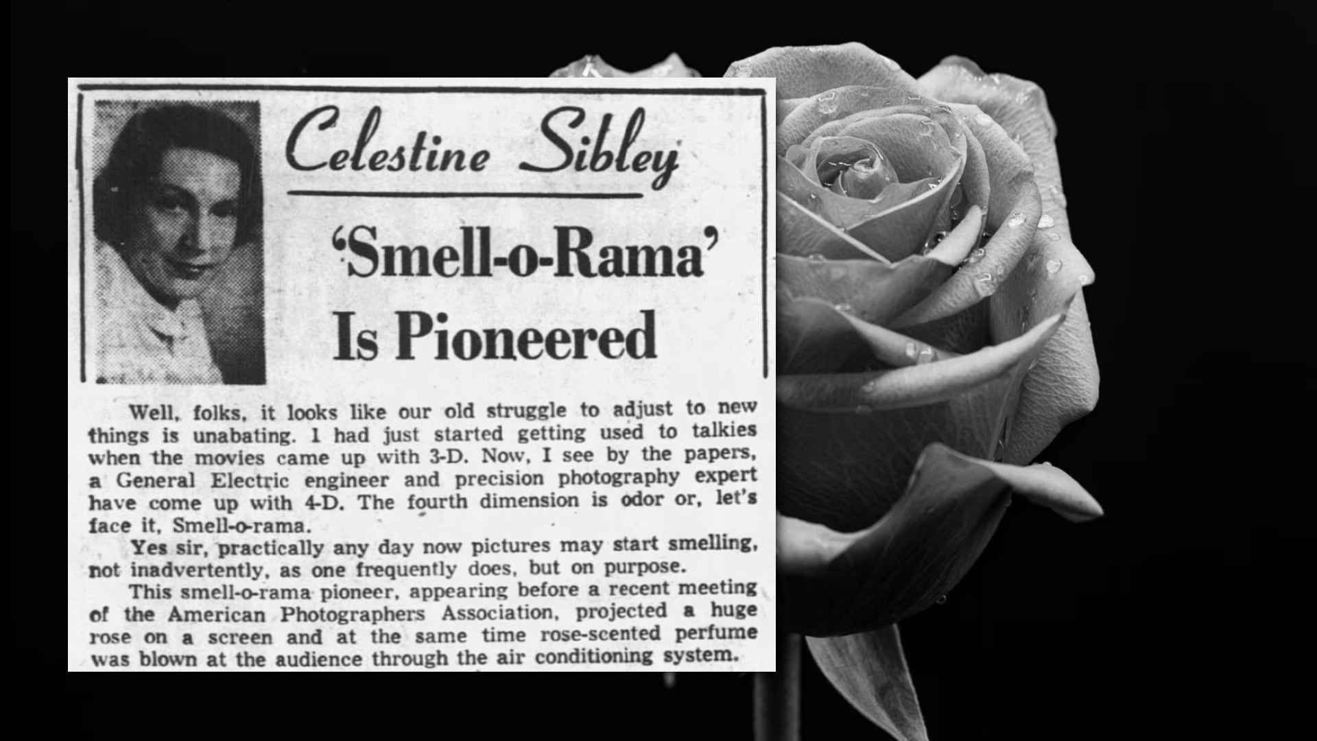 Celestine Sibley newspaper cutting next to a rose, about the Smell-O-Rama pioneering