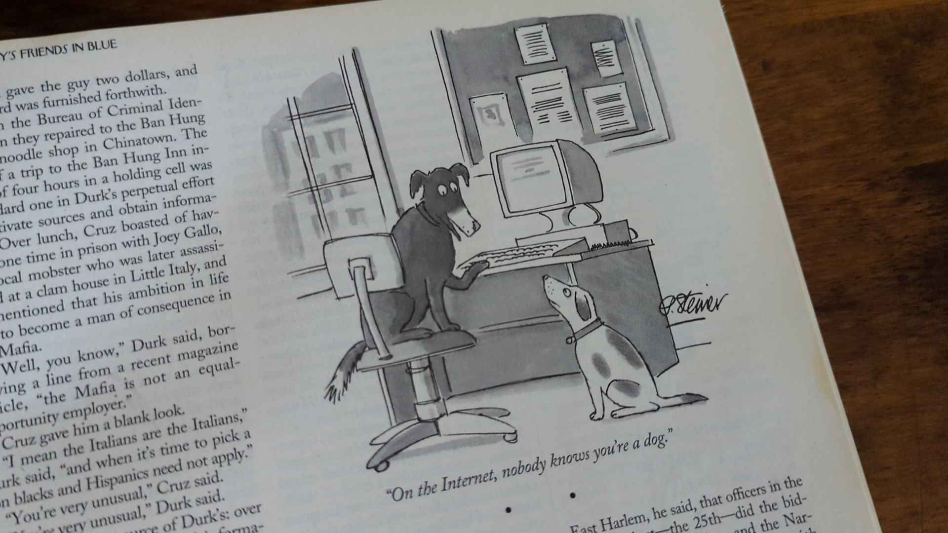 On the Internet, nobody knows you're a dog