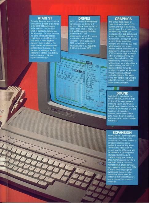 ST Amiga Format Feature