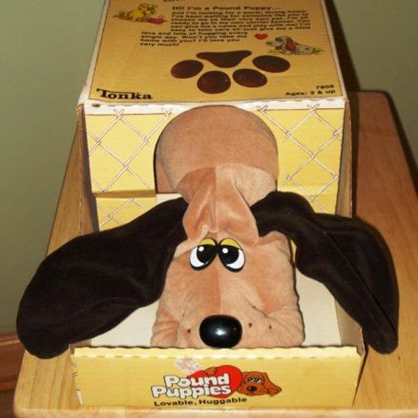 Pound Puppies